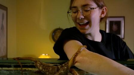Video thumbnail: Nature Can a teenager befriend an octopus?