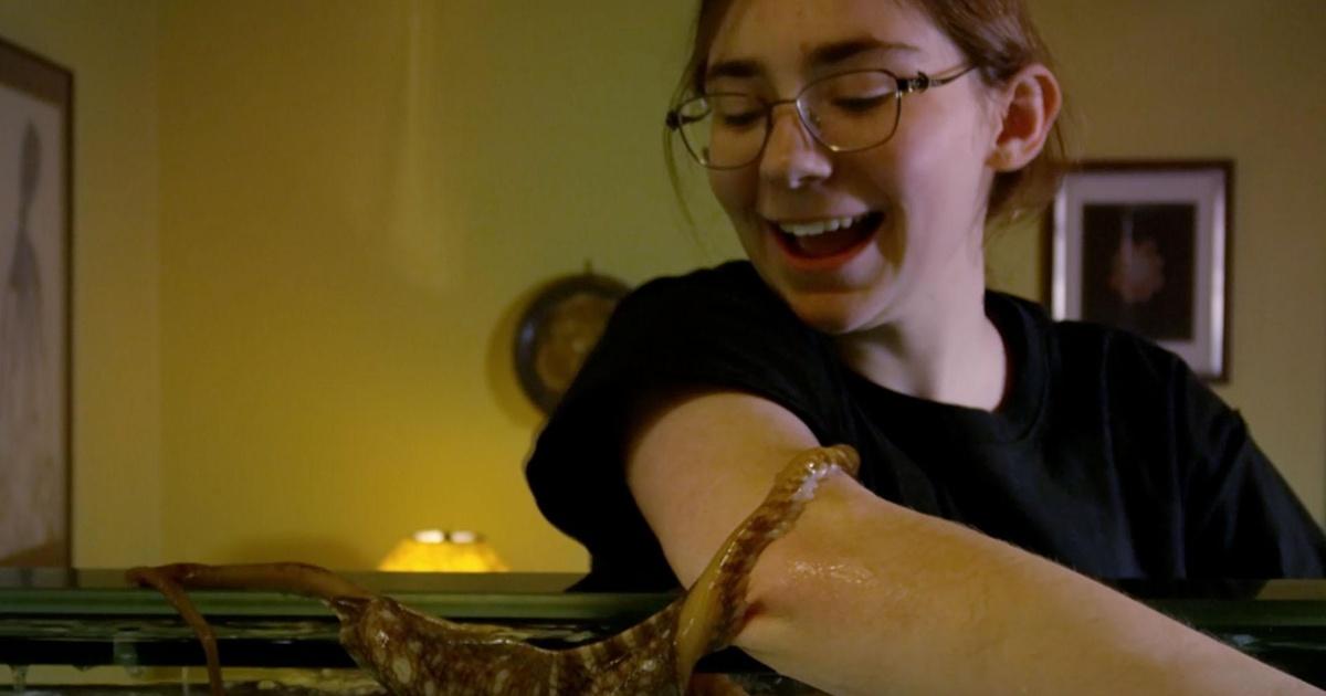 Nature Can a teenager befriend an octopus? Season 38 Episode 1 PBS