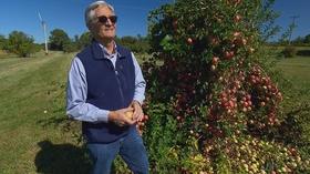 Video thumbnail: Maryland Farm & Harvest Episode 713