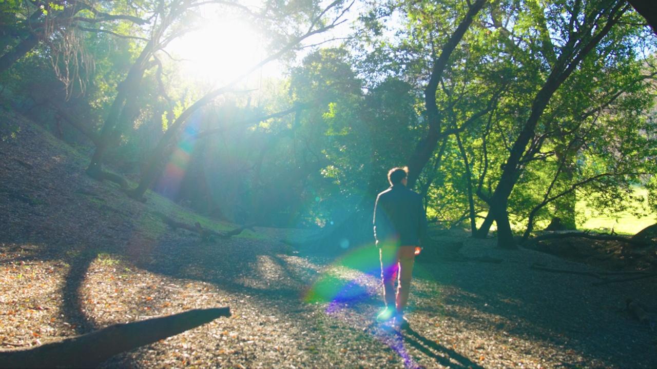 Second Language Preview