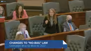Illinois Lawmakers Approve SAFE-T Act Changes