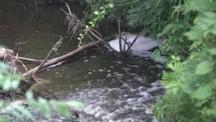 A Local Court Ruling on PFAS Cleanup