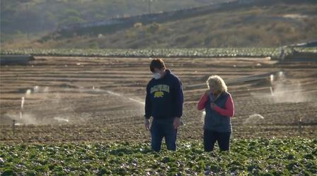 Video thumbnail: A Growing Passion Pandemic Pivot