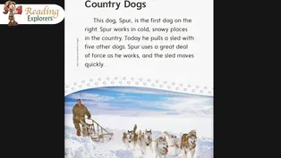 2-314: Reading 'Dogs Work!' Together