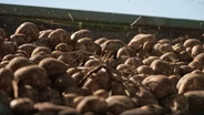 Preview: Heartland Farms, Food & Farm Exploration Center
