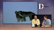 Dialogue Extra: Wolf Management