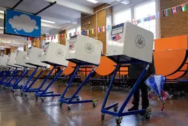 Primary protest votes hint at challenges for Biden and Trump