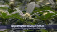 Crain’s Headlines: Marijuana Business Venture Fizzles