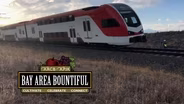 Bay Area Bountiful: Greener Transportation