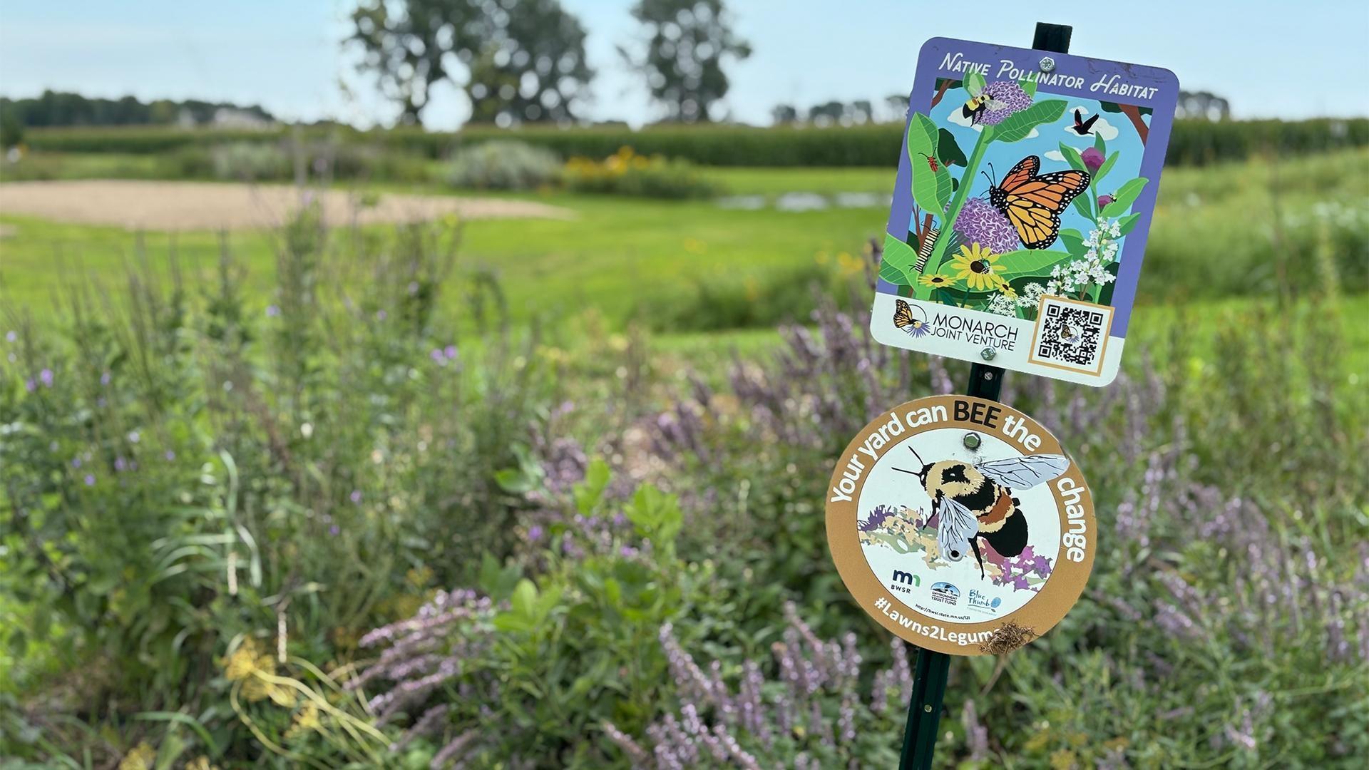 Rhyan Schicker and her team advocate for monarchs and vital pollinators by leading a movement.