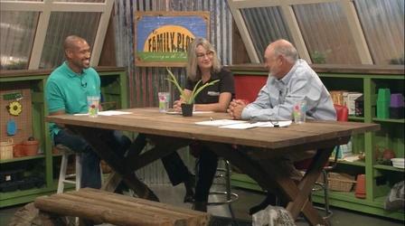Video thumbnail: The Family Plot Summer Pests & Pineapple Lillies