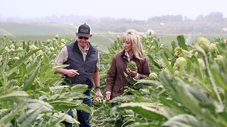 Video thumbnail: Bringing It Home with Laura McIntosh: Season Two Artichokes