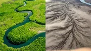 What happened to the once lush, now desert-like Colorado River Delta?