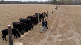 Video thumbnail: Veterans Affairs Soldier's Harvest - Marvin Frink