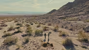 Loving Joshua Tree (Preview)