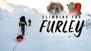 Climbing for Furley