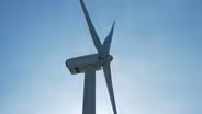 Murphy signs executive order to jump-start wind industry