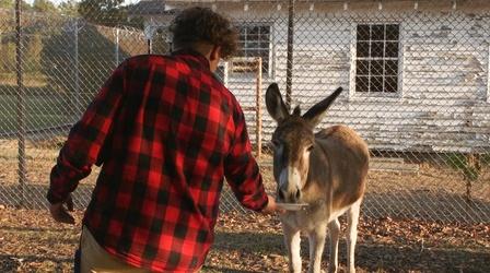 Video thumbnail: ncIMPACT Reclaiming Youth Opportunity