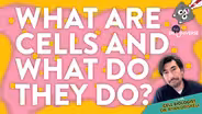 What Are Cells And What Do They Do? With Dr. Driskell