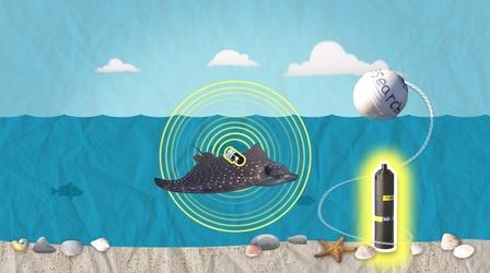 Video thumbnail: SciGirls Marea de Alta Tecnología – Investigación