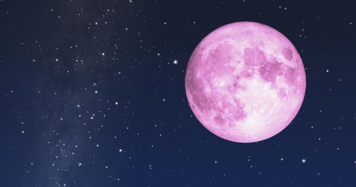 Pink Moon