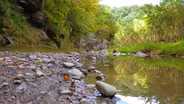 Ledges State Park
