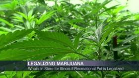 Video thumbnail: Chicago Tonight What Legalized Marijuana Could Mean for Illinois