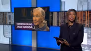 Remembering Jane Goodall