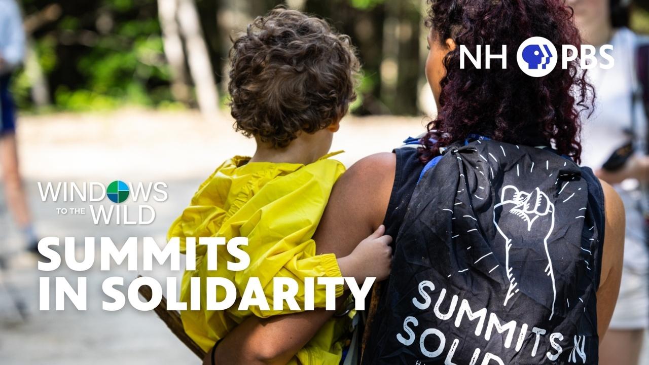 Windows to the Wild | Summits In Solidarity