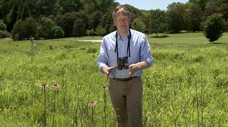 Video thumbnail: Expeditions with Patrick McMillan Gardening for Life – Transforming Your Landscape for Life