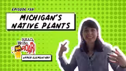 Michigan's Native Plants