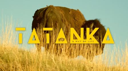 Video thumbnail: SDPB Documentaries TATANKA: A WAY OF LIFE