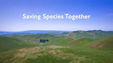 Video thumbnail: ViewFinder Saving Species Together