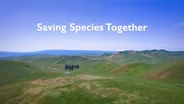 Saving Species Together
