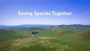 Saving Species Together