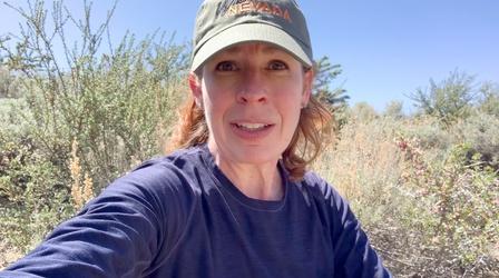Video thumbnail: Wild Nevada Wild Nevada Memories Preview | Chris Orr