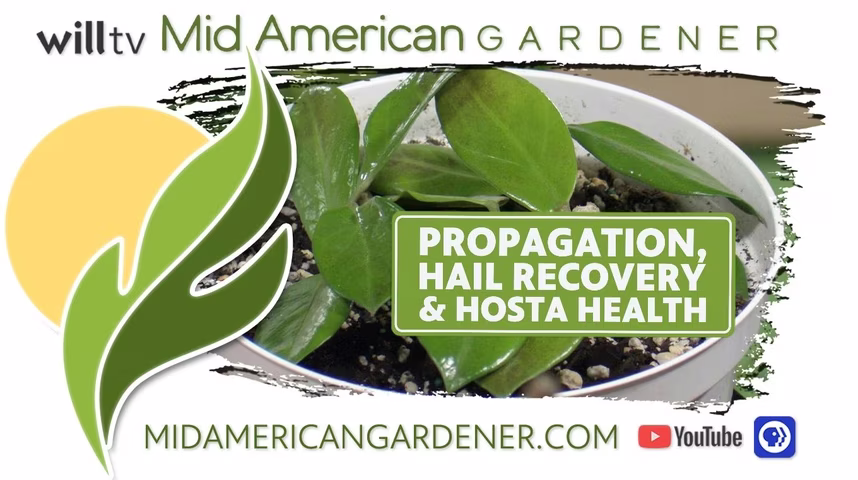 Mid-American Gardener