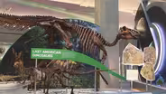 At renovated Hall of Fossils, dinosaurs are just the start