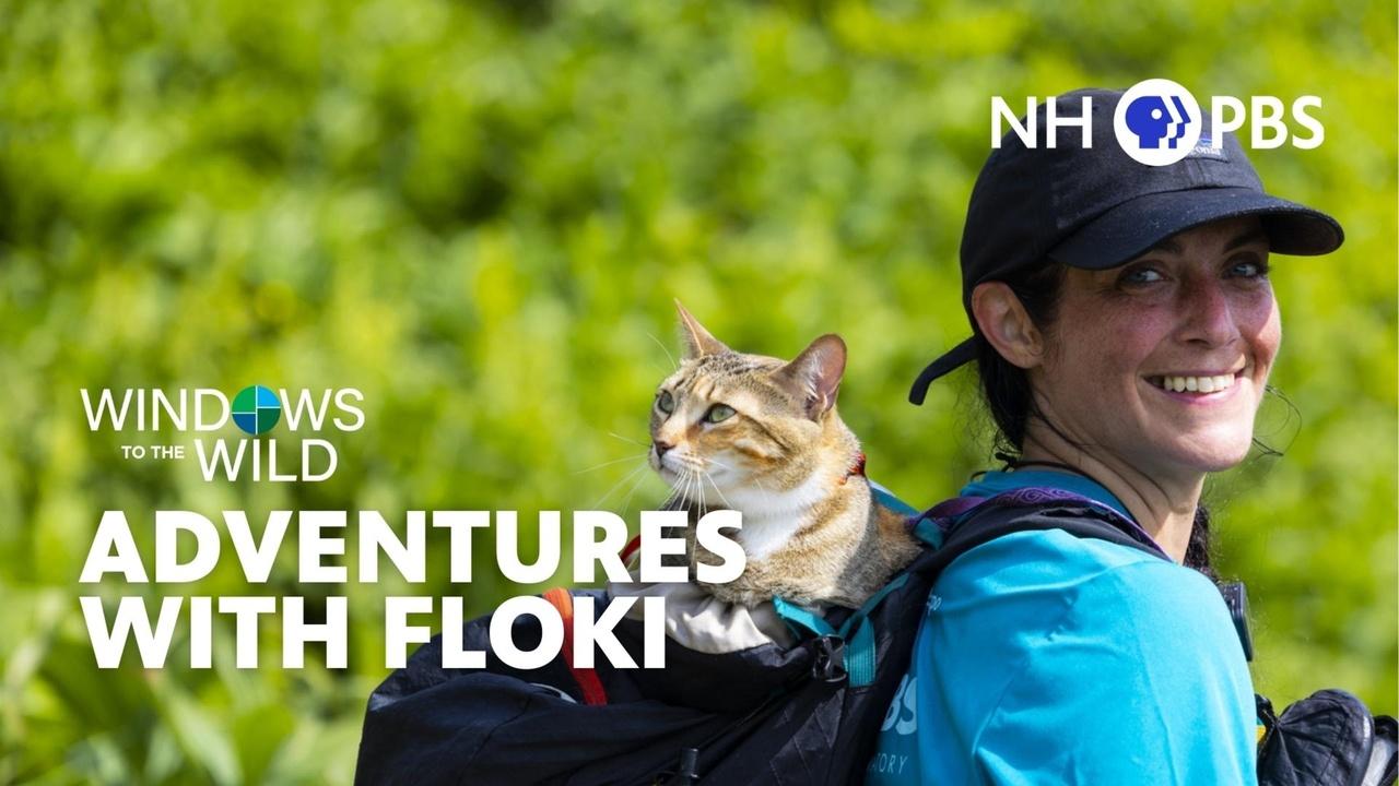 Windows to the Wild | Adventures With Floki
