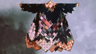 Julie Schafler Dale on Jean Cacicedo