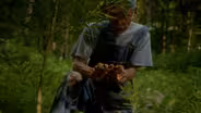 The Strength of Bamboo