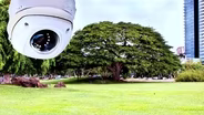 Surveillance Cameras in Public Parks