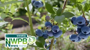 Student Visas Revoked in the NW and Financial Issues for Blueberry Farmers: April 23, 2025