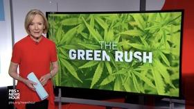 Video thumbnail: Insight with John Ferrugia Cultivating Crime On PBS NEWSHOUR