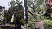 State Cleaning Up After Latest Round of Storms