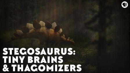 Video thumbnail: Eons Stegosaurs: Tiny Brains & Thagomizers