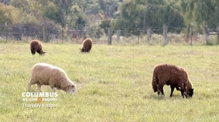 Education Reimagined Preview