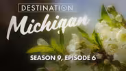 Season 9, Episode 6