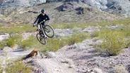 Mountain Biking in Southern Nevada