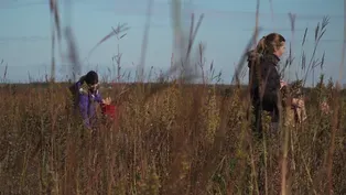 A Prairie Starts with a Seed